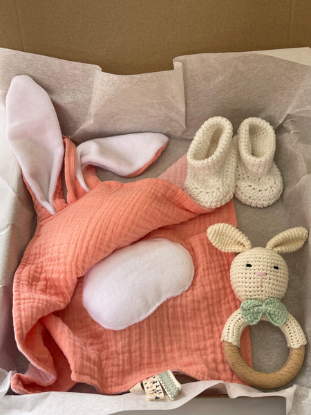 Welcome Baby Gift Set in Pink with Rattle, Lovey, Booties