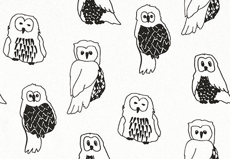 Owl Pattern Wallpaper for Kids Room | Nursery Room